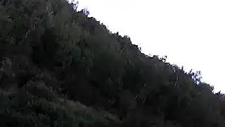 Drone over wards creek
