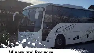 Boston Party Bus Rentals