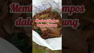 Membuat Kompos di Karung Bekas #kompos #komposting #komposter #pupukorganik #pupukkompos #berkebun