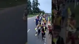 Bollbom