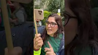 PTI supporters in London on 14 August