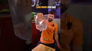 Как завязать герметичный пакет для рыбы #аквариум #хоббидляаквариумоводства #разведениерыб #комна...