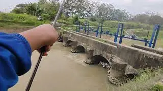 ОТЛИЧНО!! Рыбалка на реке 🎣 #рыбалка