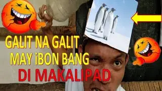 May ibon Bang Di Makalipad?🤣 Galit na Galit Na!🤣 Bemaks tv