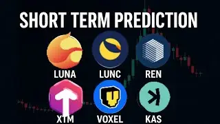 Xtm usdt | XTM (Torum Token)