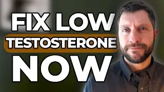 The REAL Causes of Low Testosterone (and How to Fix Them!) | Signs, Symptoms, Diagnosis & Treatment