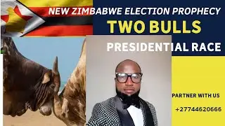 MOST DANGEROUS :NEW ZIMBABWE PRESIDENTIAL RACE PROPHECY ,THE TWO BULLS VISION AND ELECTIONS