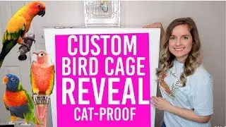 New Custom Bird Cage Tour | DIY Bird Cage | Catproof