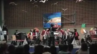 Stevie Wonder -Akkordeon - HO Murg