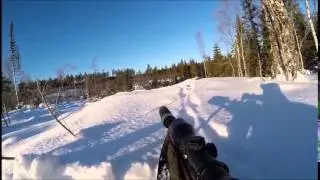 Lapinkairan Koss