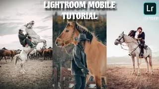 Cinematic Lightroom Mobile Tutorial | Outdoor Horse Photography Editing Like a Pro📱
