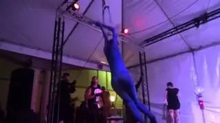 20th Annual South Florida Tattoo Expo-Friday Suspension Show.