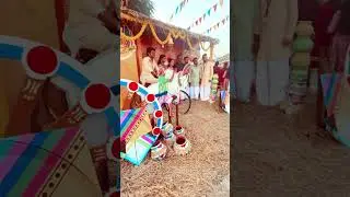 Pongal Celebrations 2024