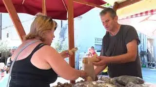 TRŽNICA ZADAR 02-08-2021