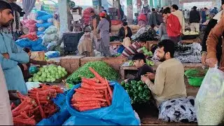 کراچی سبزی منڈی تازہ ریٹس 15 جنوری 2026 | Sabzi Mandi Karachi Full Tour & Prices Update