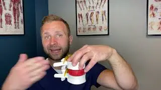 Disc Herniation Denver: What you need to know