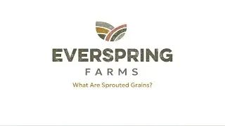 What are Sprouted Grains: Dianne Wolters Explains the Power of Sprouted Grains