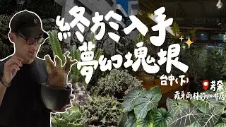 我找了“ 它 ”一整年！價格直逼六位數🔥終於下定決心入手了！被觀葉.鹿角蕨包圍的森林系咖啡廳，老闆竟也收藏大量龍舌蘭！Cyphostemma uter v.macropus【出門找塊肉-台中(下)】