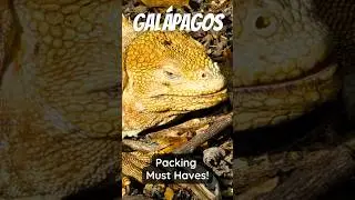 What to Pack for a Gal&aacute;pagos Cruise