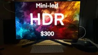 The BEST Monitor on a Budget!