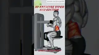 3D Exercise Video Abd Edition Lever Seated Twist || verywell life #YogaFlow #stressrelief