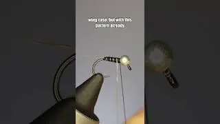 Hot Spot Zebra Baetis | Fly Tying Tutorial