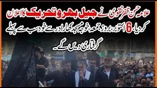Press Conference About Missing Persons I #MWM Leader Allama Hassan Zafar @mwmpakofficial