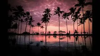Dancing Through the Static by MAISON BRAVA | Melodic Deep House