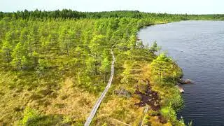 Neva-Lyly ja Alkkianvuori