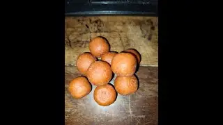 Boilies autunno-inverno con ingredienti CBS