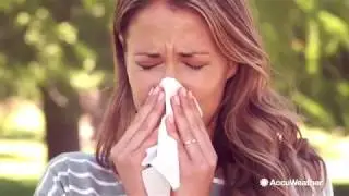 Has your city made the list for the 10 worst 'spring allergy capitals'?