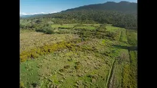905A State Highway 6, Rapahoe, Grey, West Coast