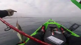 K F Viento Norte pesca de fondo Slow Pitch jigging Noeby 2021