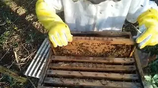 Postura na melgueira e agora? Isso &eacute; bom ou ruim?