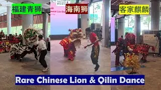 罕见的福建青狮, 海南狮以及客家麒麟表演 | 新加坡华族文化中心 #中华武术青狮团 #光武国术团 #恩隍文化团 #SINGAPO人 #中華武術青獅團 #光武國術團 #恩隍文化團