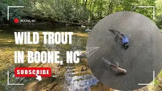 Fly Fishing for trout in Boone, NC - Blue Ridge Creek Tutorial
