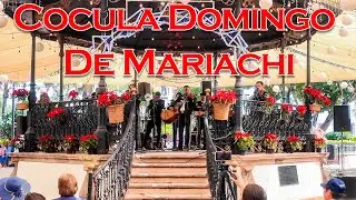 Cocula Domingo De Mariachi Con los Herederos De Cocula.