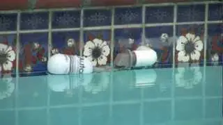 EZAutoFill&trade; water leveling system for regulating the water level in your pool or spa.