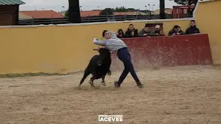 Suelta de 2 vacas 11-01-2026