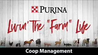 Purina Livin' the 