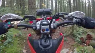 Mcnutt - Future Trail & 100 Hour Mark