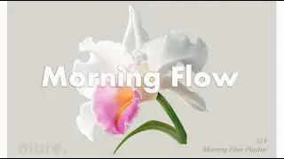 Morning Flow | Chill House for Calm Focus & Productive Energy