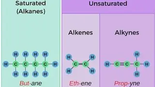 Difference between Saturated and Unsaturated Hydrocarbons Unit 13 Organic Chemistry 