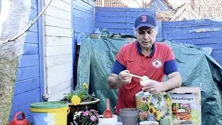 نبذه عن السماد الطبيعي في المانيا
