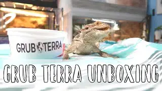 Trying out Grub Terra Nutrigrubs! // Coupon Code Included!
