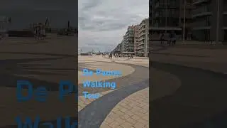 De Panne Walking Tour #short #shorts #shortvideo #shortsvideo #depanne #travel #holiday #belgium