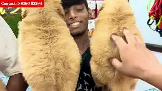 Cheapest Pet shop in Patna 😱 | German Shepherd, Husky, Pitbull , Golden retriever , Shitzu .