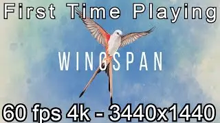 Wingspan First Time Playing Gameplay + Tutorial PC Steam [3440x1440 60fps] - This game is peaceful