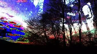 Nightfall | ambient drones and analogue sequences in the forest as night falls with Crave and SH101
