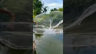 জালের কৌশল!!  #fishing #fishingvideo #villagefishing #viralfishing #videofish #bdfishingvideo